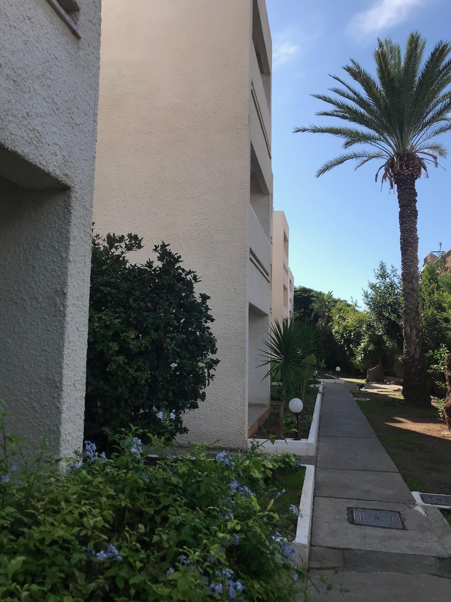 Daphne Hotel Apartments (Adults Only) Paphos Extérieur photo