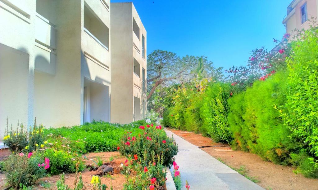 Daphne Hotel Apartments (Adults Only) Paphos Extérieur photo